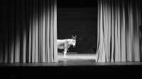 68_davidweberkrebs-balthazar.png